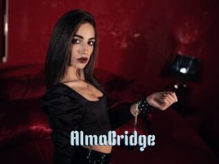 AlmaBridge