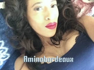 Aminabordeaux