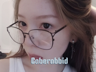 Baberabbid