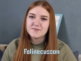 Falinecusson