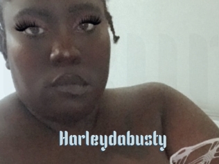 Harleydabusty