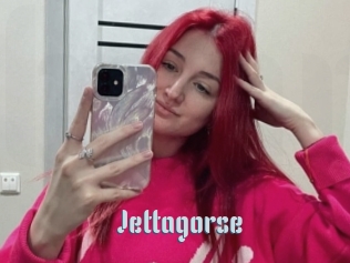 Jettagorse