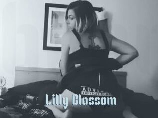 Lilly_Blossom