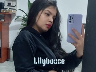 Lilybosse