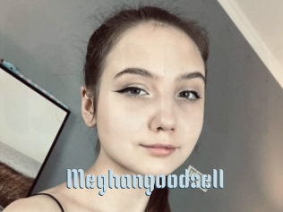 Meghangoodsell