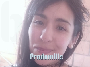 Pradamills