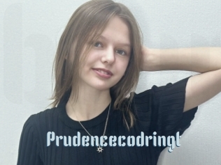 Prudencecodringt