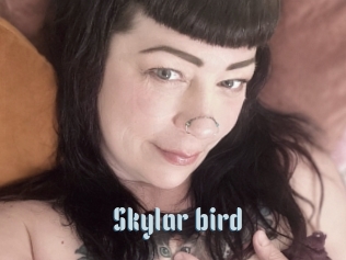 Skylar_bird